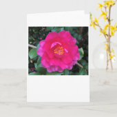 Camellia, kaart (Gele Bloem)