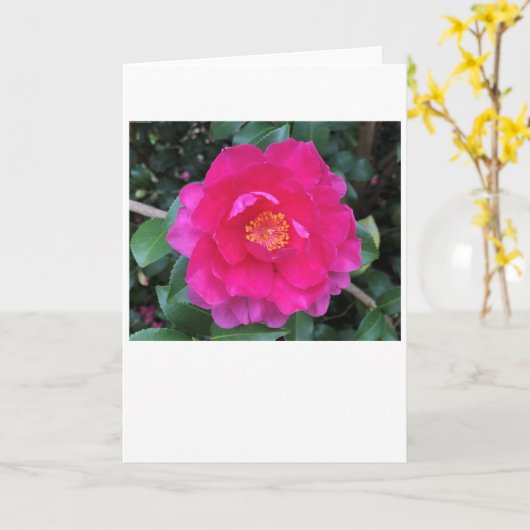 Camellia, kaart (Gele Bloem)