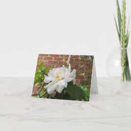 Camellia kaart (leeg)