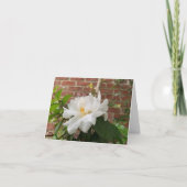 Camellia kaart (leeg) (Voorkant)