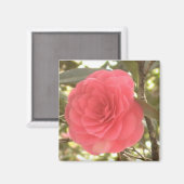 Camellia Magnet (Voorkant / Achterkant)