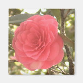 Camellia Magnet (Voorkant)