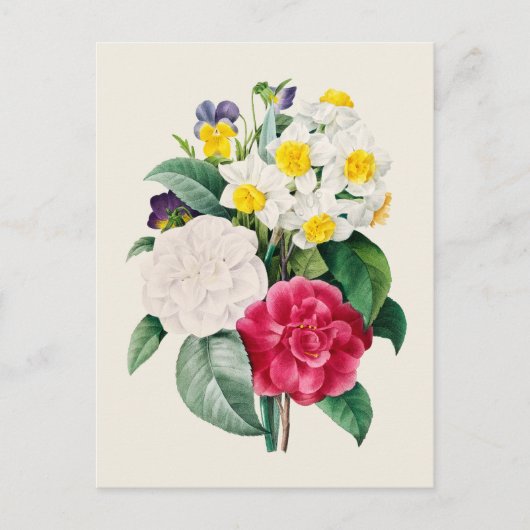 Camellia Narcissus en Pansy Flowers Briefkaart (Voorkant)