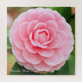 Camellia: Otome-Tsubaki (Square Jigzaag puzzle) Legpuzzel