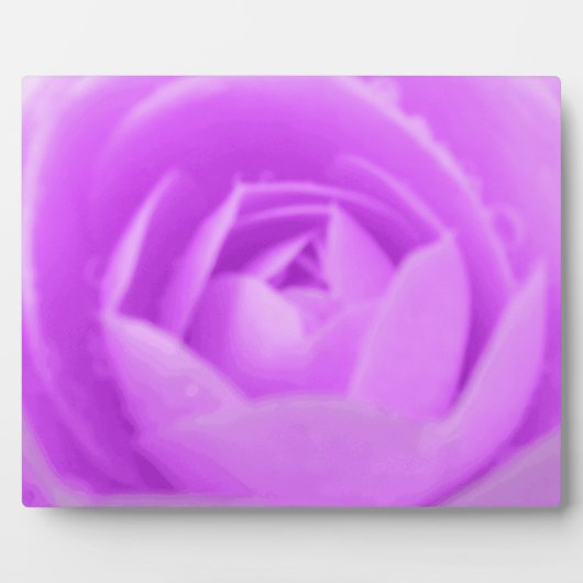 Camellia Paarse Plaquette Fotoplaat (Voorkant)