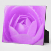 Camellia Paarse Plaquette Fotoplaat (Zijkant)