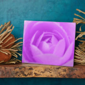 Camellia Paarse Plaquette Fotoplaat (Zijkant)