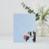 Camellia Pink Flower Blue Sky Briefkaart (Staand voorkant)