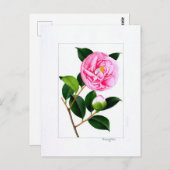 Camellia Plate: Hanafuki Briefkaart (Voorkant / Achterkant)