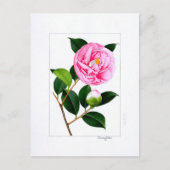 Camellia Plate: Hanafuki Briefkaart (Voorkant)