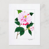 Camellia Plate: Kayoidori Briefkaart (Voorkant)
