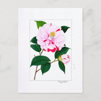 Camellia Plate: Kayoidori Briefkaart