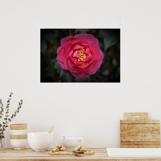 Camellia Poster (Keuken)