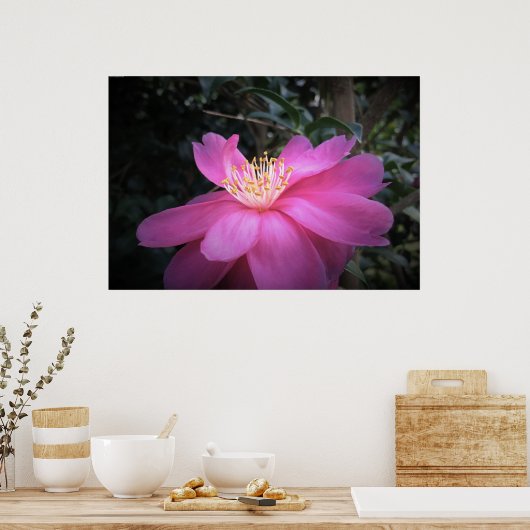 Camellia Poster (Keuken)