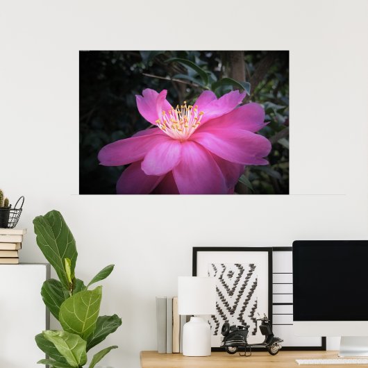 Camellia Poster (Thuiskantoor)