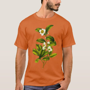 Camellia Sinensis Botanische Thee Plant Illustrati T-shirt