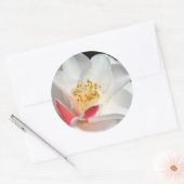 Camellia Stickers (Envelop)