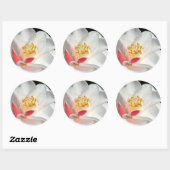 Camellia Stickers (Vel)