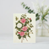 Camellia uit "A Monograph on the Genus" Briefkaart (Staand voorkant)