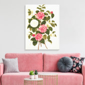Camellia uit "A Monograph on the Genus" Canvas Afdruk (Insitu (Woonkamer))