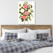 Camellia uit "A Monograph on the Genus" Canvas Afdruk (Insitu (Slaapkamer))
