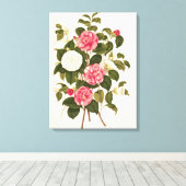 Camellia uit "A Monograph on the Genus" Canvas Afdruk (Insitu (Houten vloer))