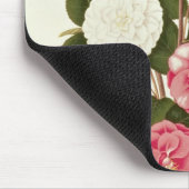 Camellia uit "A Monograph on the Genus" Muismat (Hoek)