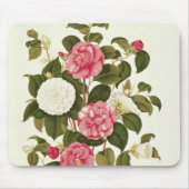 Camellia uit "A Monograph on the Genus" Muismat (Voorkant)