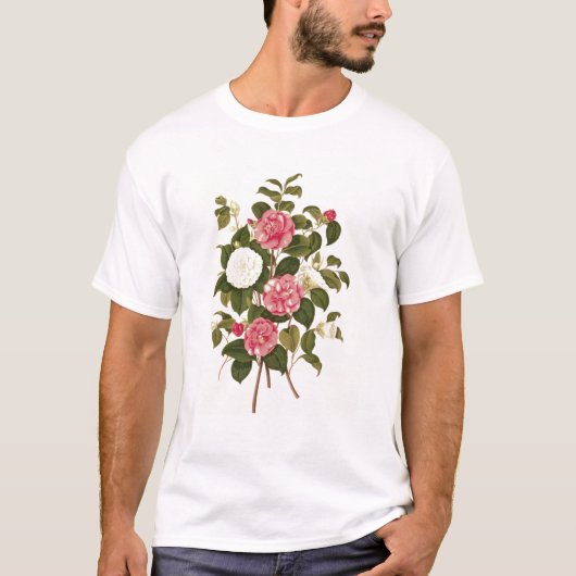 Camellia uit "A Monograph on the Genus" T-shirt (Voorkant)