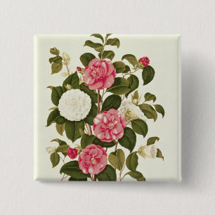 Camellia uit "A Monograph on the Genus" Vierkante Button 5,1 Cm