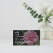 Camellia Visitekaartje (Staand voorkant)