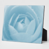 Camellia Whirlpool Plaquette Fotoplaat (Zijkant)
