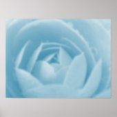 Camellia Whirlpool Print (Voorkant)