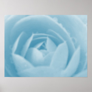 Camellia Whirlpool Print