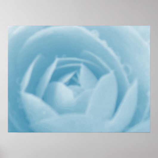 Camellia Whirlpool Print (Voorkant)
