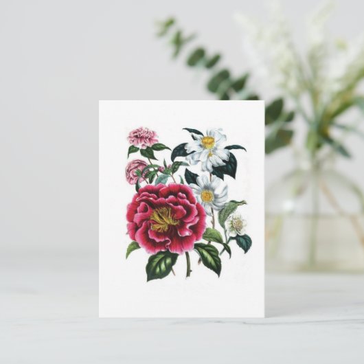 Camellias door Jane Loudon Briefkaart (Staand voorkant)