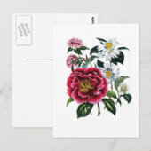 Camellias door Jane Loudon Briefkaart (Voorkant / Achterkant)