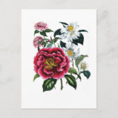 Camellias door Jane Loudon Briefkaart (Voorkant)