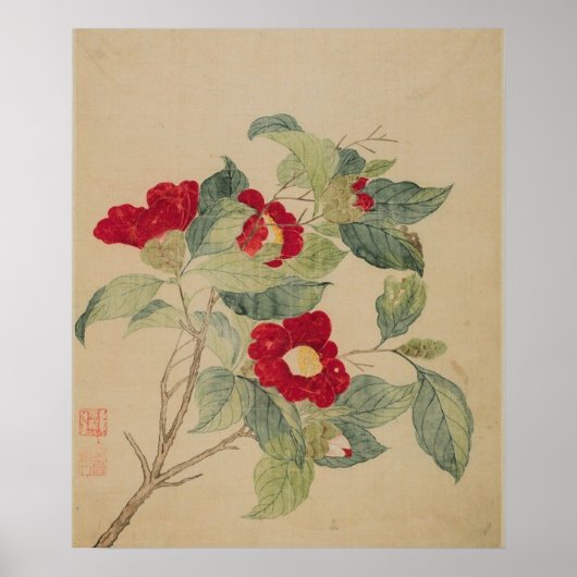 Camellias door Ma Yuanyu Poster Print (Voorkant)
