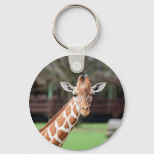 Camelopard (giraffe) sleutelhanger