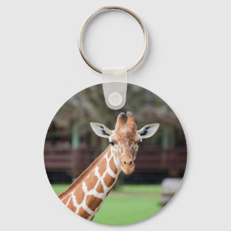 Camelopard (giraffe) sleutelhanger