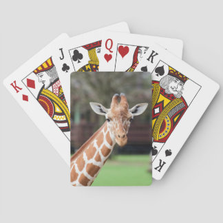 Camelopard (giraffe) speelkaarten