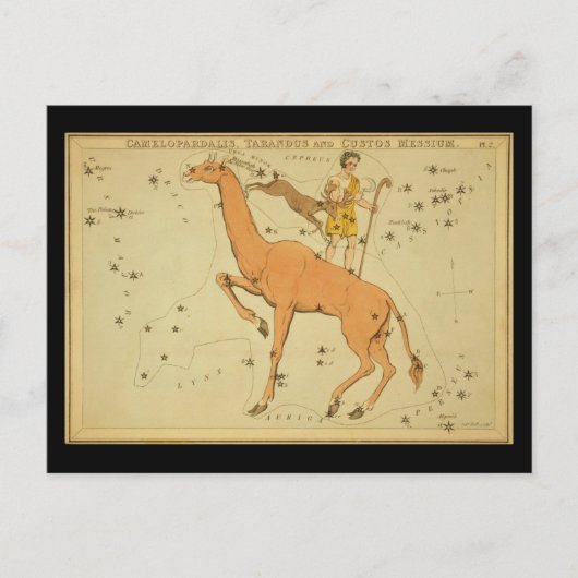 Camelopardalis, Tarandus en Custos Messium Briefkaart (Voorkant)