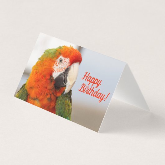 Camelot Macaw Happy Birthday-kaart Kaart (Voorkant)