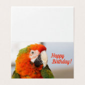 Camelot Macaw Happy Birthday-kaart Kaart (Buitenkant ongevouwen)