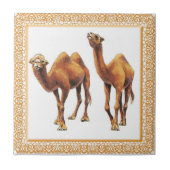 Camels A-Go Tile Tegeltje (Voorkant)