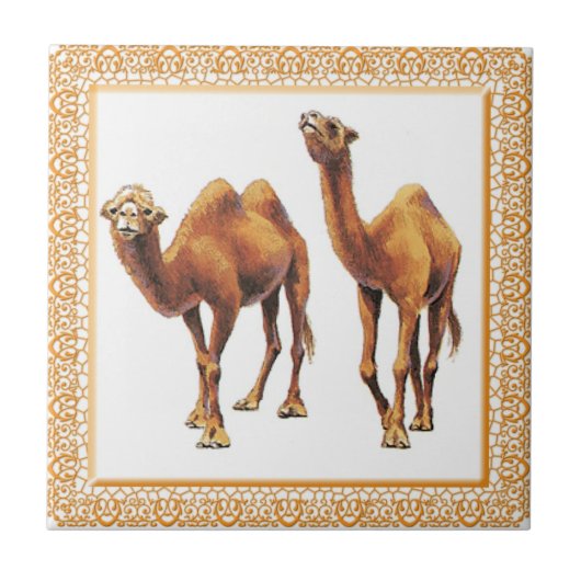Camels A-Go Tile Tegeltje (Voorkant)