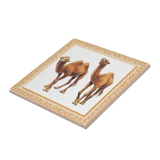 Camels A-Go Tile Tegeltje (Zijkant)