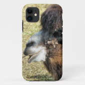 CAMELS Case-Mate iPhone CASE (Achterkant)