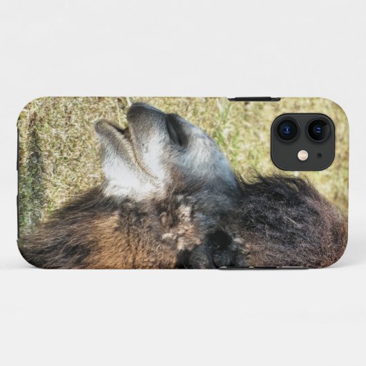 CAMELS Case-Mate iPhone CASE (Achterkant (horizontaal))